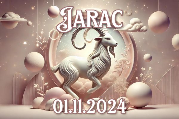 Jarac_01.11.2024