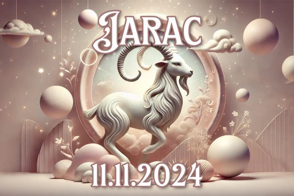 Jarac_11.11.2024