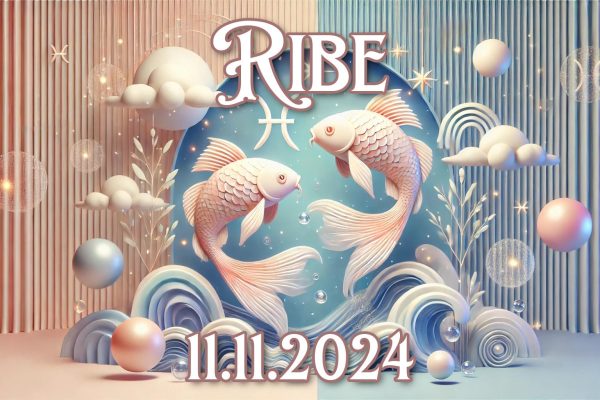 Ribe_11.11.2024