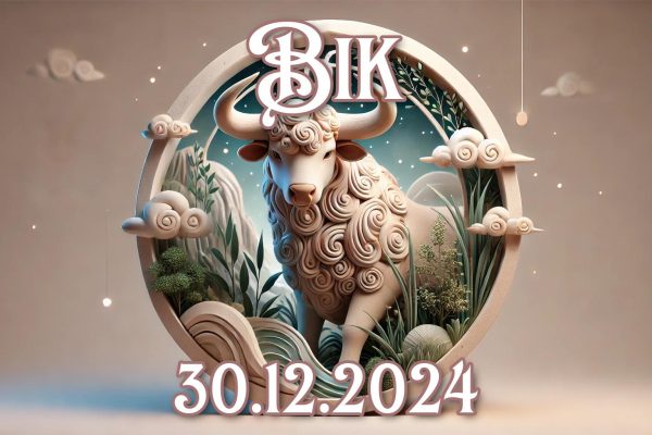 Bik_30.12.2024