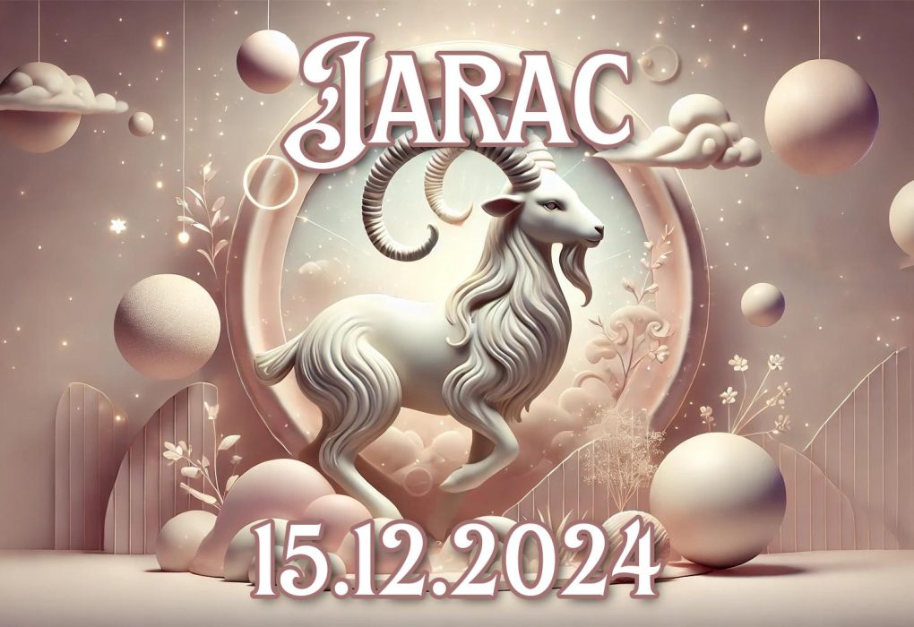 Jarac_15.12.2024