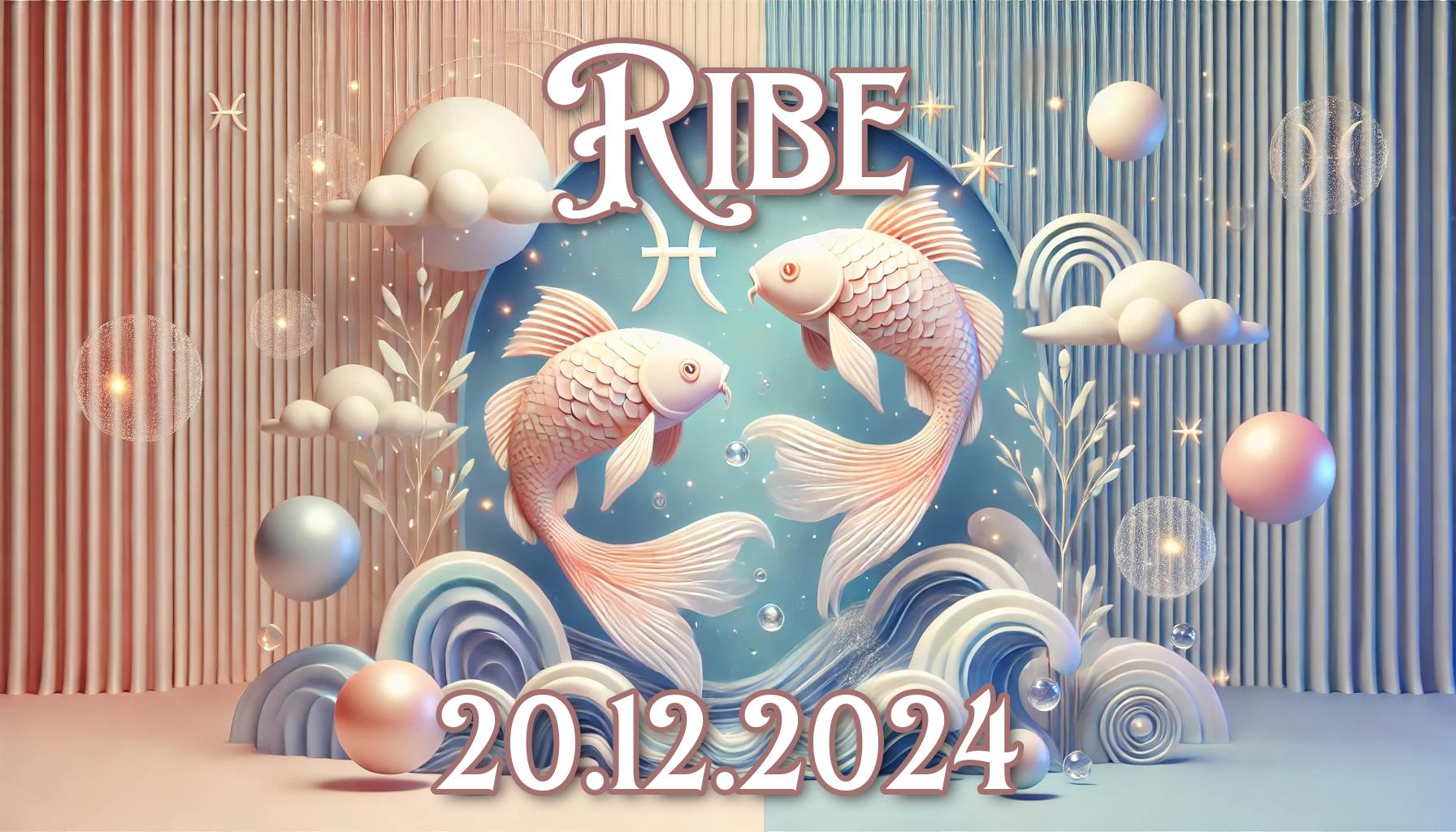 Ribe_20.12.2024