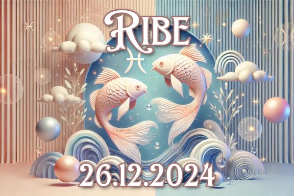 Ribe_26.12.2024